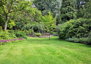 Optimiser l'expérience du jardin à Epinay-sur-Orge